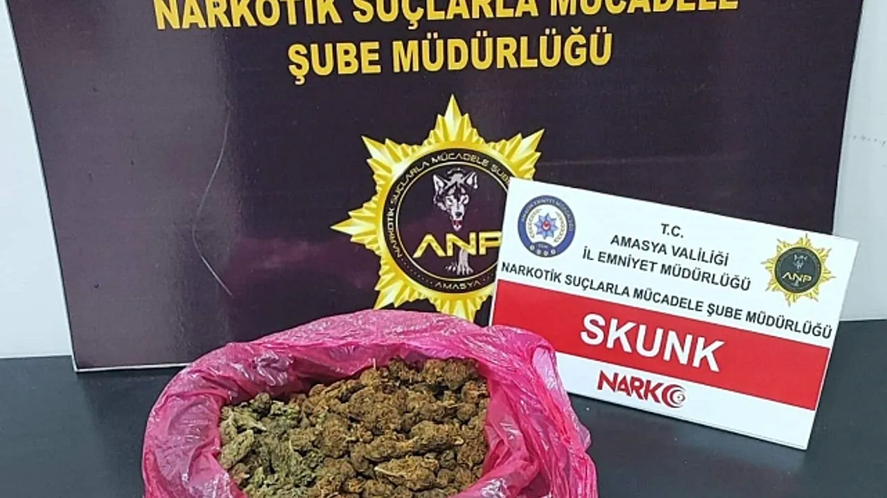 Amasyada polisten uyuşturucu operasyonları: 9 gözaltı