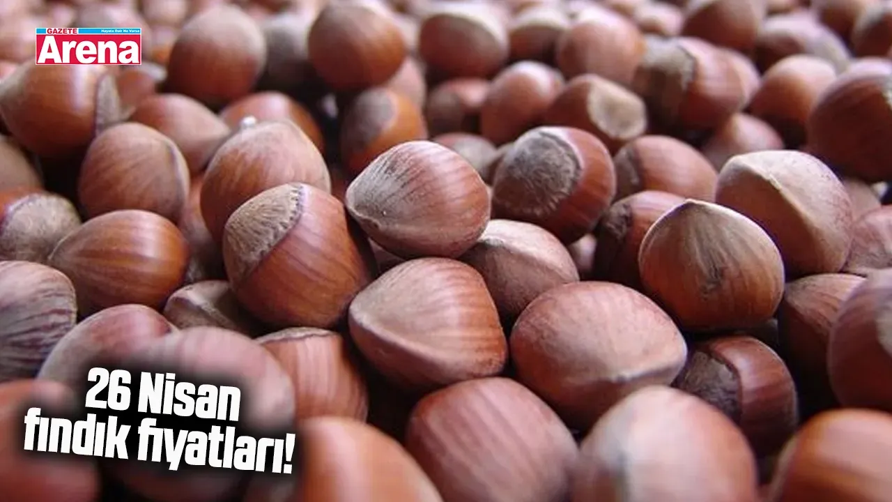 Fındık fiyatları yükselişte: 26 Nisan 2025 güncel liste