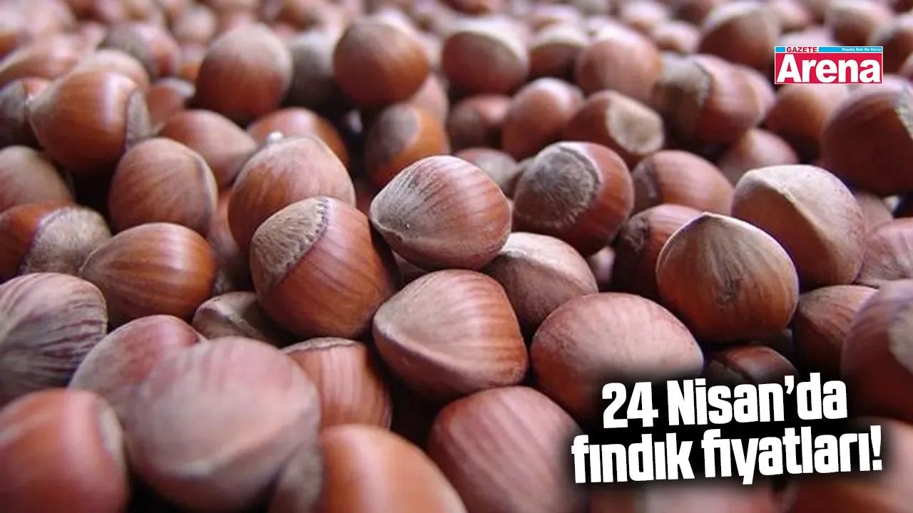 Fındık fiyatları yükselişte: İl il 24 Nisan rakamları