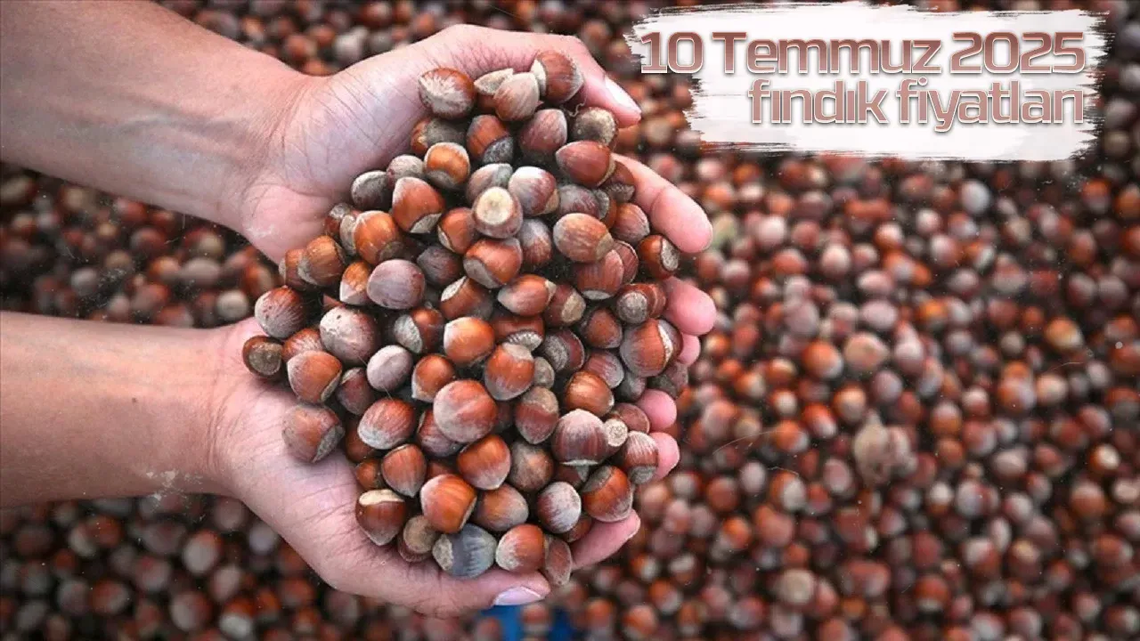 10 Temmuz 2025 fındık fiyatları: İl il güncel liste