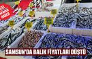 Samsun’da balık fiyatları düştü