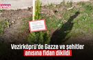 Vezirköprü’de Gazze ve şehitler anısına fidan dikildi