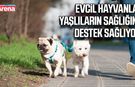 Evcil hayvanlar yaşlıların sağlığına destek sağlıyor