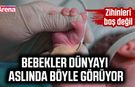 Bebekler dünyayı aslında böyle görüyor
