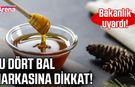 Bu dört bal markasına dikkat! Tarım ve Orman Bakanlığı uyardı