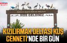 Kızılırmak Deltası Kuş Cenneti'nde bir gün