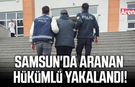 Samsun'da aranan hükümlü yakalandı!