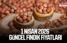 1 Nisan 2026 güncel fındık fiyatları