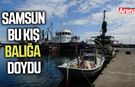Samsun bu kış balığa doydu