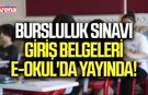 Bursluluk sınavı giriş belgeleri e-Okul'da yayında!