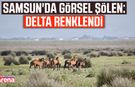 Samsun'da görsel şölen: Delta renklendi