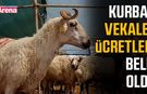 Kurban vekalet ücretleri belli oldu