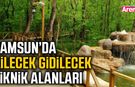 Samsun’da ailecek gidilecek piknik alanları