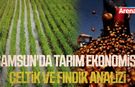 Samsun'da tarım ekonomisi: Çeltik ve fındık analizi