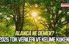 Alança ne demek? 2026 TDK verileri ve kelime kökeni
