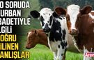 10 soruda kurban ibadetiyle ilgili doğru bilinen yanlışlar