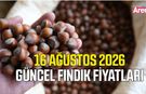 16 Ağustos 2026 güncel fındık fiyatları