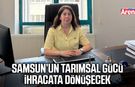 Samsun’un tarımsal gücü ihracata dönüşecek