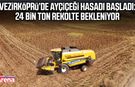 Vezirköprü’de ayçiçeği hasadı başladı