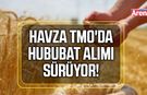 Havza TMO'da hububat alımları sürüyor
