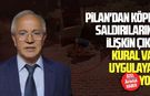 Veteriner Hekimleri Odası Başkanı Pilan'dan köpek saldırıları için sert çıkış: Kural var uygulayan yok!