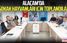 Samsun’un Alaçam İlçesinde sokak hayvanları için toplandılar