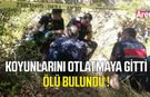 Samsun'da acı olay! Koyunlarını otlatmaya giden adam ölü bulundu