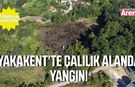 Yakakent’te çıkan yangında 10 dönümlük alan zarar gördü