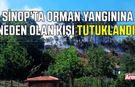 Sinop'ta ormanın yanmasına sebep olan kişi tutuklandı