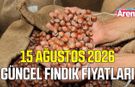 15 Ağustos 2026 güncel fındık fiyatları