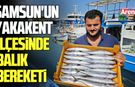 Samsun'un Yakakent İlçesinde balık bereketi