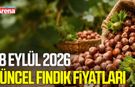 28 Eylül 2026 güncel fındık fiyatları