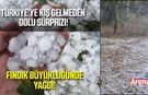 Kış gelmeden dolu yağdı! Yollar ve tarlalar beyaza büründü