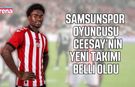 Samsunspor’un genç forveti Ceesay'nin yeni adresi belli oldu