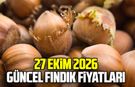 27 Ekim 2026 Güncel fındık fiyatları