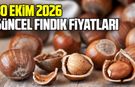 30 Ekim 2026 Güncel fındık fiyatları