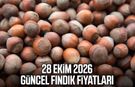 28 Ekim 2026 güncel fındık fiyatları