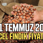 31 Temmuz 2026 güncel fındık fiyatları