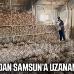 Çorum’dan Samsun’a uzanan lezzet