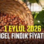1 Eylül 2026 güncel fındık fiyatları