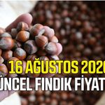 16 Ağustos 2026 güncel fındık fiyatları