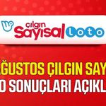 22 Ağustos Çılgın Sayısal Loto sonuçları açıklandı
