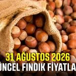 31 Ağustos 2026 güncel fındık fiyatları