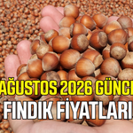 7 Ağustos 2026 güncel fındık fiyatları