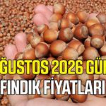 9 Ağustos 2026 güncel fındık fiyatları