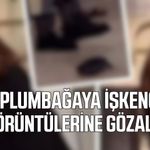 Kaplumbağayı ayağıyla öldüren kadın gözaltına alındı