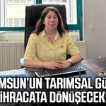 Samsun’un tarımsal gücü ihracata dönüşecek