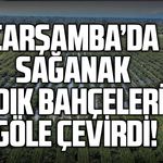 Çarşamba’da sağanak fındık bahçelerini göle çevirdi