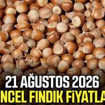 21 Ağustos 2026 güncel fındık fiyatları