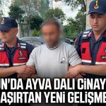Samsun'da ayva dalı cinayetinde şaşırtan yeni gelişme!